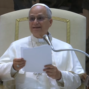 Papina kateheza na općoj audijenciji u srijedu 14. siječnja